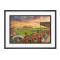 Seaview Stadium Fine Art Print - Crusaders FC